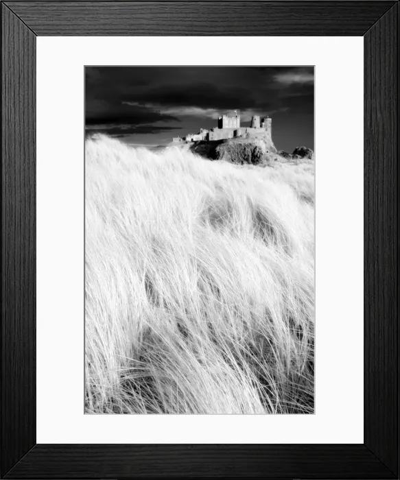 Framed Print : Infrared image of Bamburgh Castle from the dunes above Bamburgh Beach, Northumberland Framed Print : Infrared image of Bamburgh Castle from the dunes above Bamburgh Beach, Northumberland