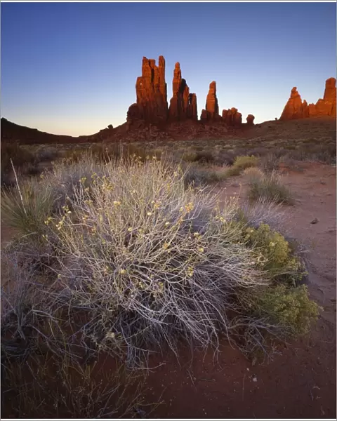 Sandstone pillars bathed in golden evening light, Monument Valley Navajo Tribal Park
