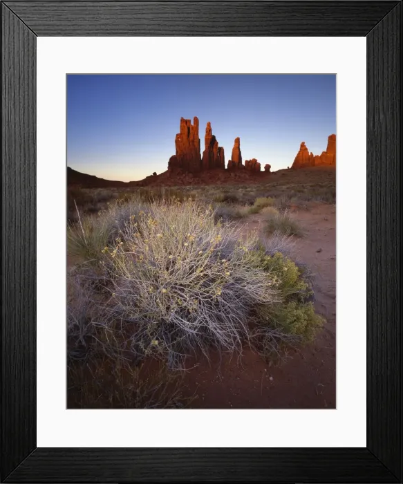 Framed Print : Sandstone pillars bathed in golden evening light, Monument Valley Navajo Tribal Park Framed Print : Sandstone pillars bathed in golden evening light, Monument Valley Navajo Tribal Park