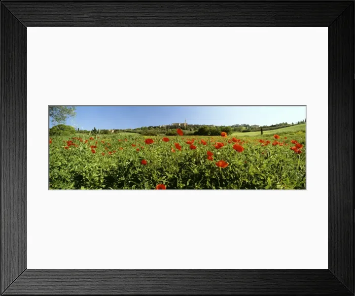 Framed Print : Poppy field with town of Pienza in distance, Tuscany, Italy, Europe