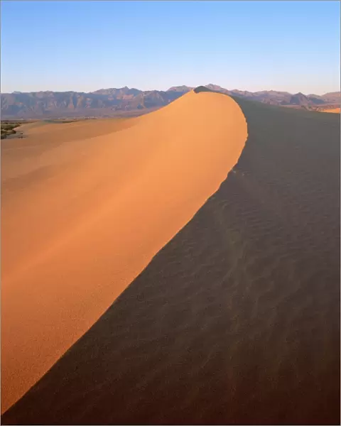 Sand dunes, Death Valley National Monument, California, United States of America