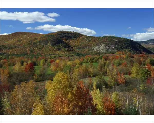 Aerial view over woodland and rolling hills in fall colours, White Mountain National Park