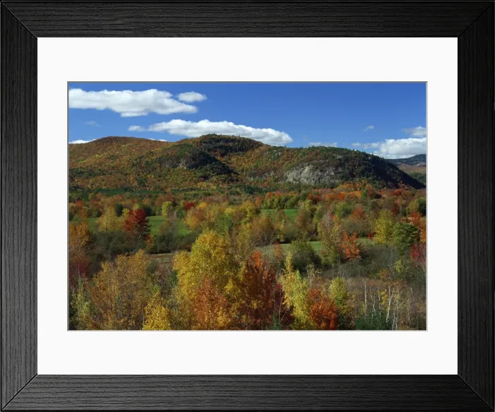 Framed Print : Aerial view over woodland and rolling hills in fall colours, White Mountain National Park Framed Print : Aerial view over woodland and rolling hills in fall colours, White Mountain National Park