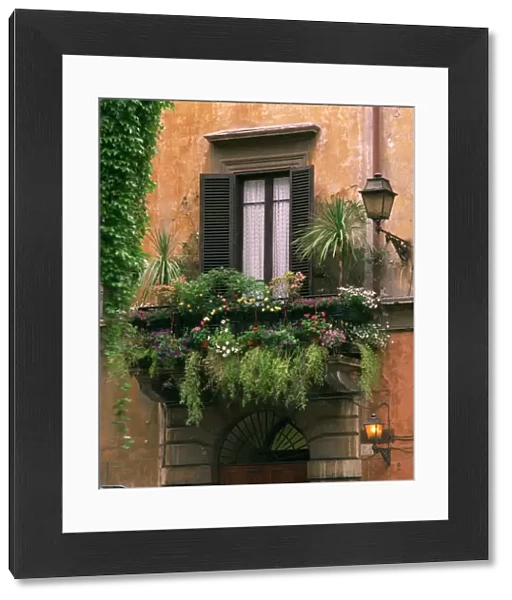 Window display near Piazza Navona, Rome, Lazio, Italy, Europe