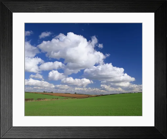 Framed Print : Agricultural landscape of fields and blue sky with white clouds in Lincolnshire Framed Print : Agricultural landscape of fields and blue sky with white clouds in Lincolnshire