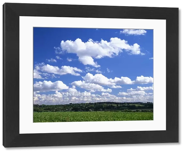 Blue sky with puffy white clouds over farmland in Lincolnshire, England