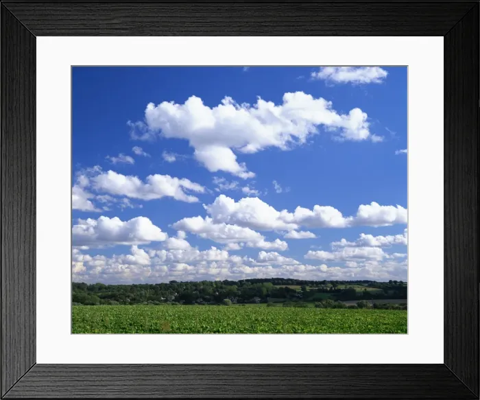 Framed Print : Blue sky with puffy white clouds over farmland in Lincolnshire, England Framed Print : Blue sky with puffy white clouds over farmland in Lincolnshire, England