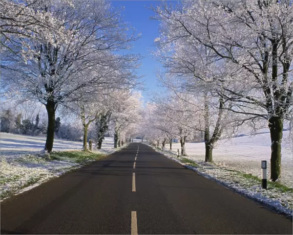Straight empty road through rural Lincolnshire in winter, England, United Kingdom, Europe