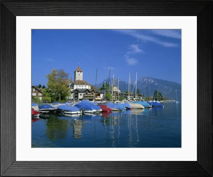 Framed Print : Boats on the water and the town of Spiez on Lake Thunersee in the Bernese Oberland