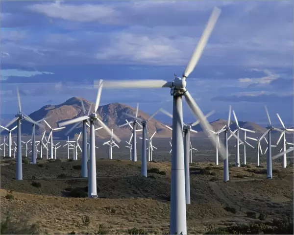 Wind turbines producing electricity on a wind farm in California, United States of America