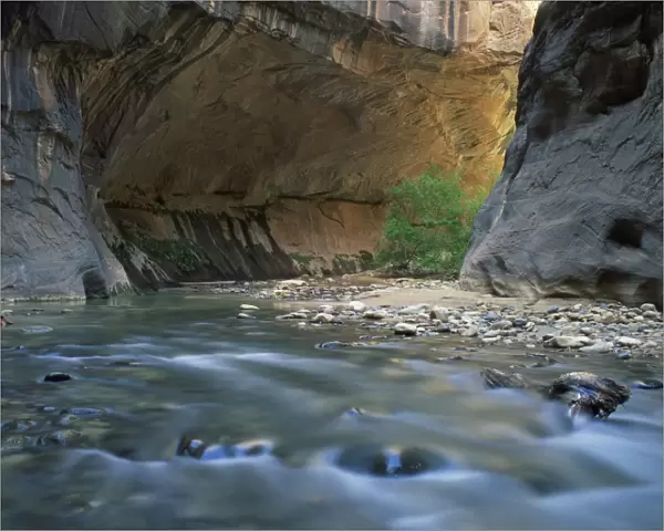 The Virgin River flows beneath overhanging cliff in the Zion National Park in Utah