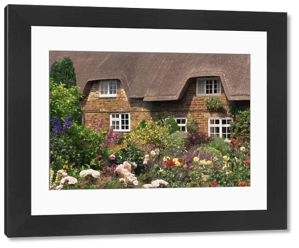 Thatched cottages with gardens full of summer flowers in Hampshire, England