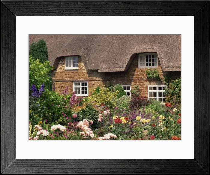 Framed Print : Thatched cottages with gardens full of summer flowers in Hampshire, England