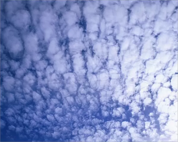 Puffy white clouds cover a blue sky