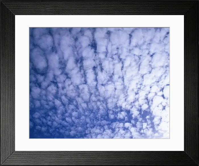 Framed Print : Puffy white clouds cover a blue sky