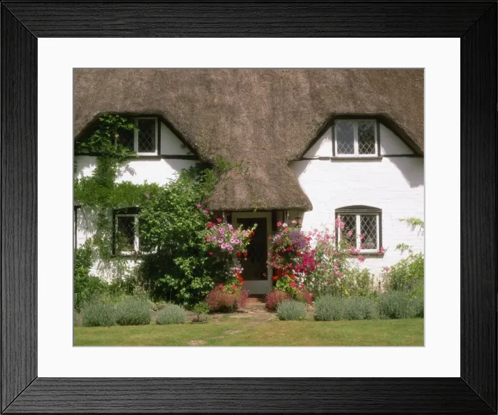 Framed Print : Thatched cottage with hanging baskets full of summer flowers in Dorset Framed Print : Thatched cottage with hanging baskets full of summer flowers in Dorset