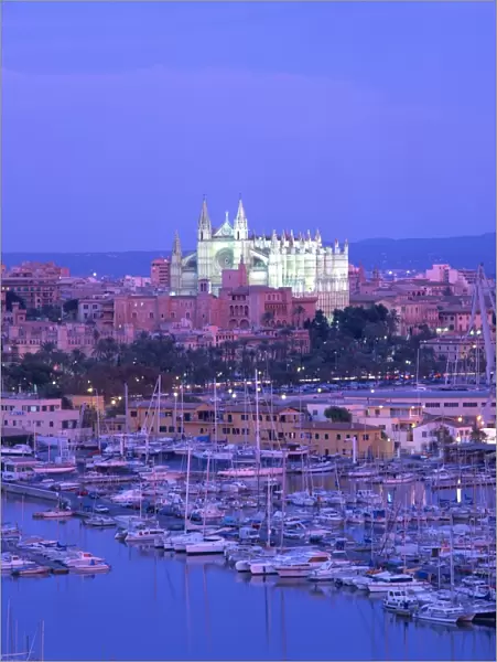 Boats in the marina at dusk with the cathedral of Palma on the skyline