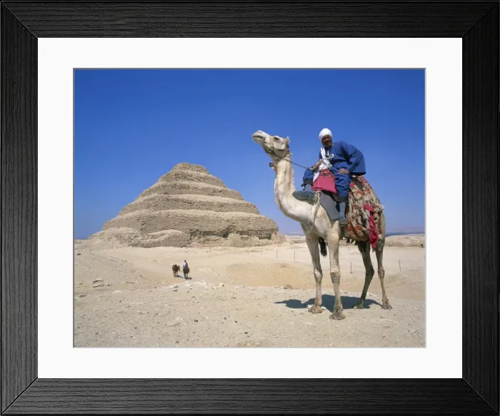 Framed Print : Guide on camel in front of the Step Pyramid of the pharaoh Zoser at Saqqara (Sakkara) Framed Print : Guide on camel in front of the Step Pyramid of the pharaoh Zoser at Saqqara (Sakkara)
