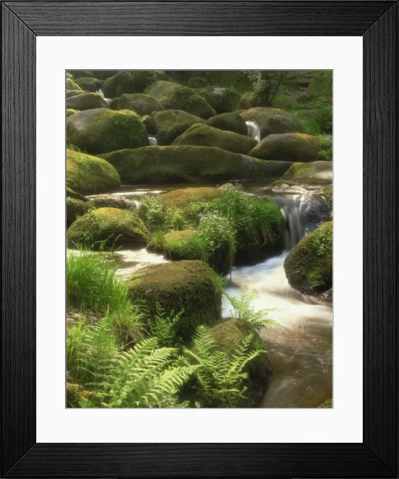 Framed Print : Mountain stream cascades over rocks covered with mosses, ferns and flowers in Scotland Framed Print : Mountain stream cascades over rocks covered with mosses, ferns and flowers in Scotland