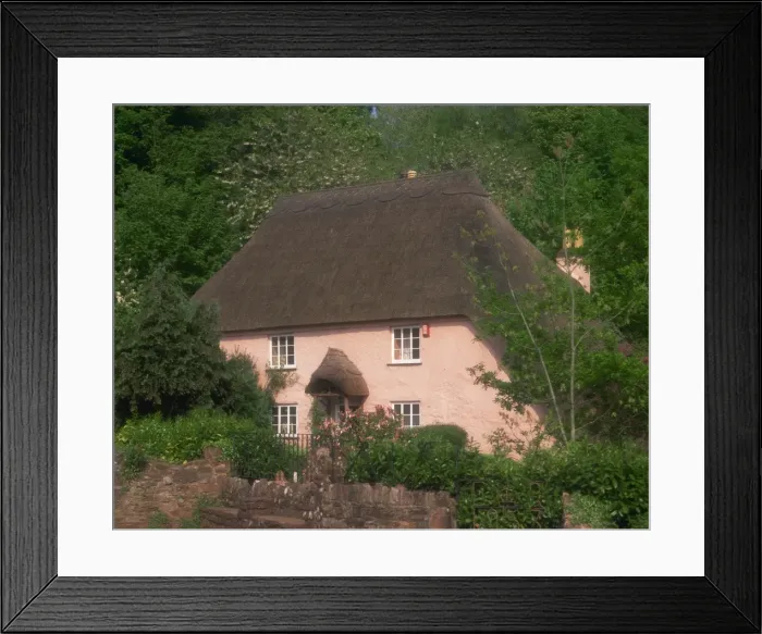 Framed Print : Pink washed thatched cottage at Widecombe, near Torquay, Devon, England Framed Print : Pink washed thatched cottage at Widecombe, near Torquay, Devon, England