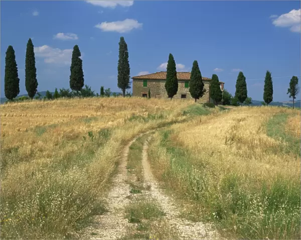Rough track leads to an old house behind cypress trees in Tuscany, Italy, Europe