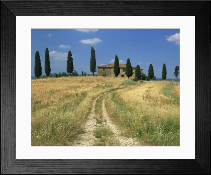 Framed Print : Rough track leads to an old house behind cypress trees in Tuscany, Italy, Europe Framed Print : Rough track leads to an old house behind cypress trees in Tuscany, Italy, Europe