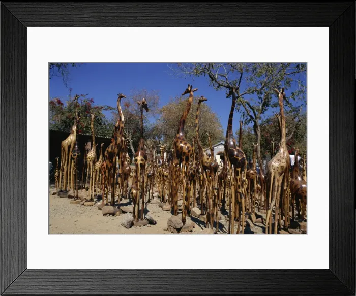 Framed Print : Giraffe carvings for sale, Victoria Falls town, Zimbabwe, Africa Framed Print : Giraffe carvings for sale, Victoria Falls town, Zimbabwe, Africa