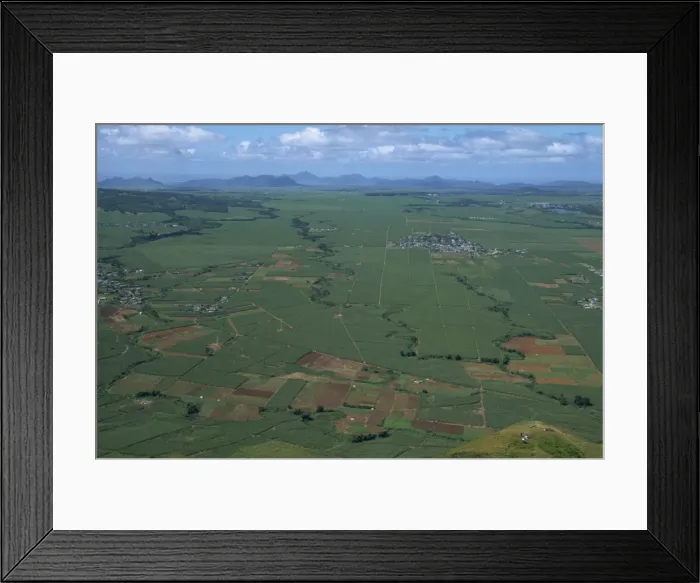 Framed Print : Sugar cane fields from Le Puce peak, Port Louis, Mauritius, Africa Framed Print : Sugar cane fields from Le Puce peak, Port Louis, Mauritius, Africa