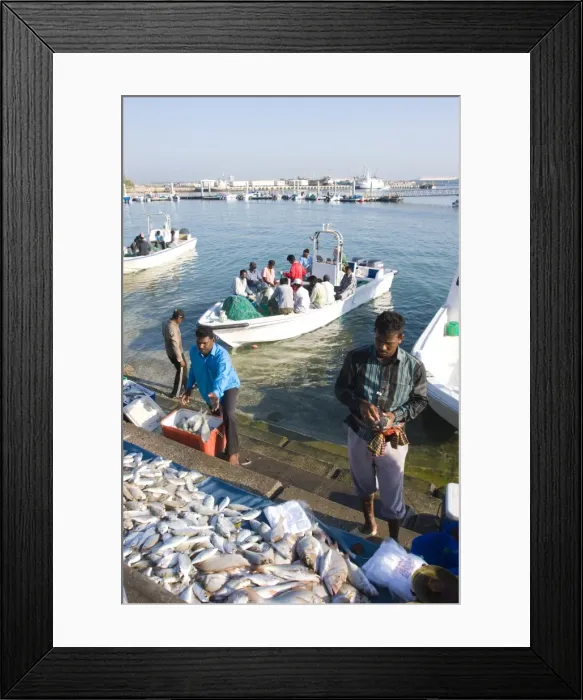 Framed Print : Fish market, Doha harbour, Doha, Qatar, Middle East Framed Print : Fish market, Doha harbour, Doha, Qatar, Middle East