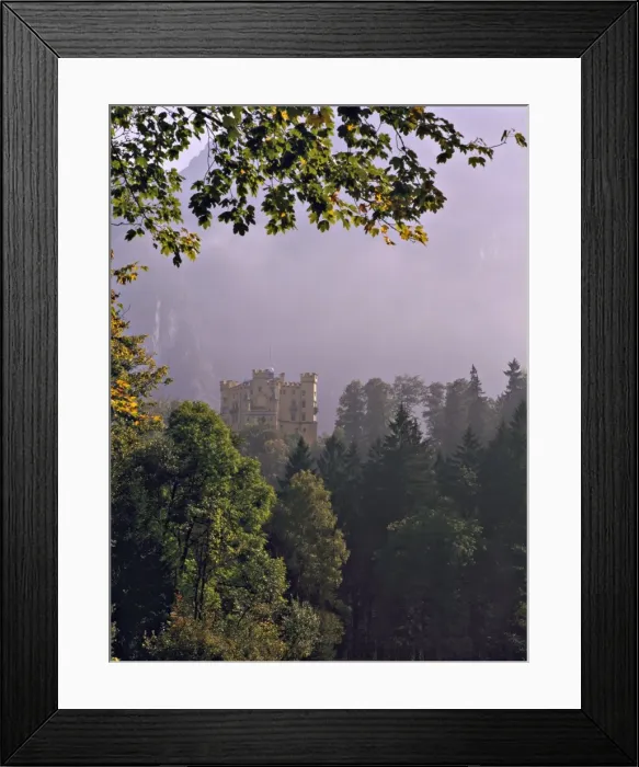 Framed Print : Schloss Hohenschwangen, F?ssen, Bavaria, Germany, Europe Framed Print : Schloss Hohenschwangen, F?ssen, Bavaria, Germany, Europe