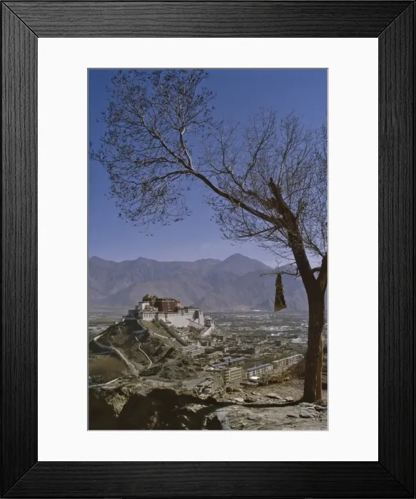 Framed Print : Potala Palace from YuWang Shan mountain, Lhasa, Tibet, China, Asia Framed Print : Potala Palace from YuWang Shan mountain, Lhasa, Tibet, China, Asia