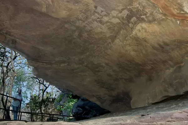Palaeolithic artwork on the roof of the Zoo Cave, Bhimbetka Caves, a large group of rock shelters in quartzitic sandstone in the hills above Obaidullaganj, south of Bhopal, Madhya Pradesh state