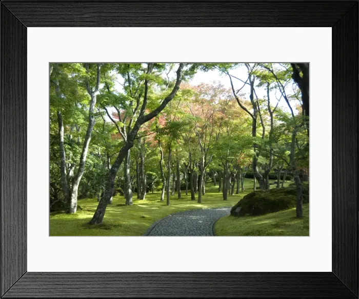 Framed Print : Moss garden, Hakone Museum of Art, Koen-kami, Gora, Hakone, west of Tokyo, Honshu, Japan Framed Print : Moss garden, Hakone Museum of Art, Koen-kami, Gora, Hakone, west of Tokyo, Honshu, Japan