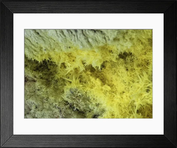 Framed Print : Sulphur crystals in volcanic solfatara vent, Io-zan, Kussharo caldera, Akan National Park Framed Print : Sulphur crystals in volcanic solfatara vent, Io-zan, Kussharo caldera, Akan National Park