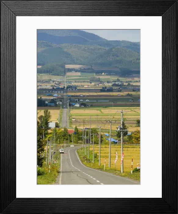 Framed Print : Furano valley, central Hokkaido, Japan, Asia