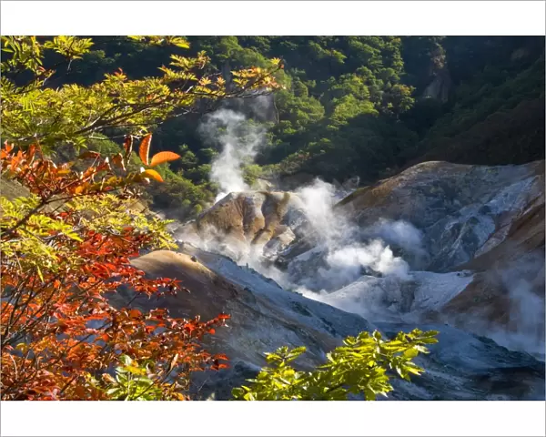 Steam fumaroles in Jigokudani geothermal area, Noboribetsu Onsen, Shikotsu-Toya National Park