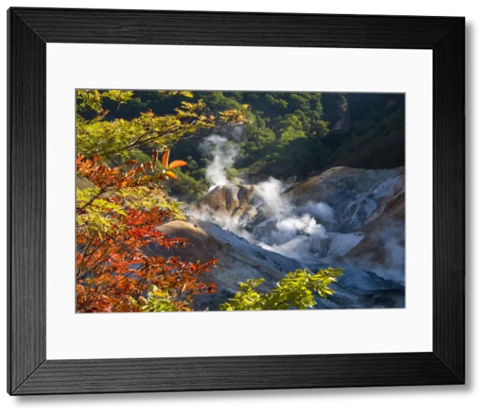 Framed Print : Steam fumaroles in Jigokudani geothermal area, Noboribetsu Onsen, Shikotsu-Toya National Park Framed Print : Steam fumaroles in Jigokudani geothermal area, Noboribetsu Onsen, Shikotsu-Toya National Park