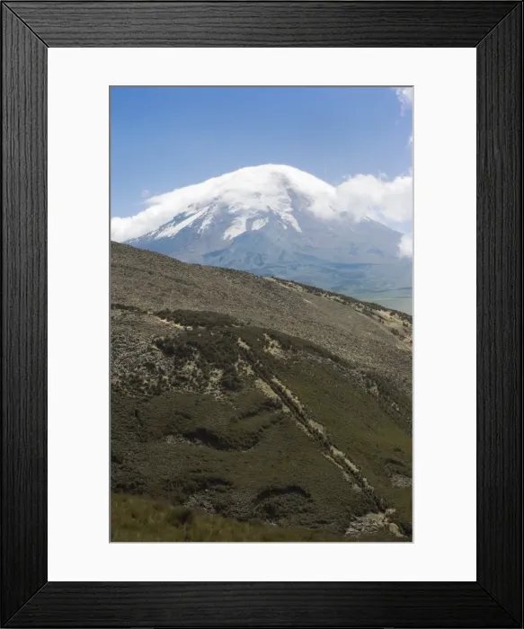 Framed Print : The west flank of 6310m Volcan Chimborazo, with its unique type of Andean high paramo