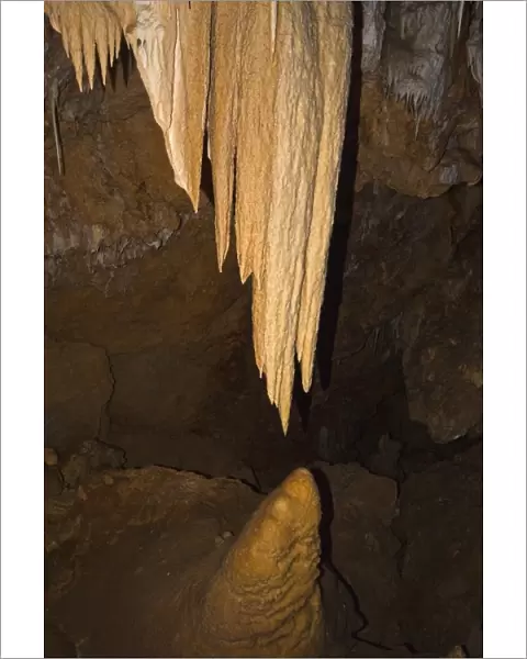 Stalactites close to creating a column with stalagmite below at Ngilgi Cave