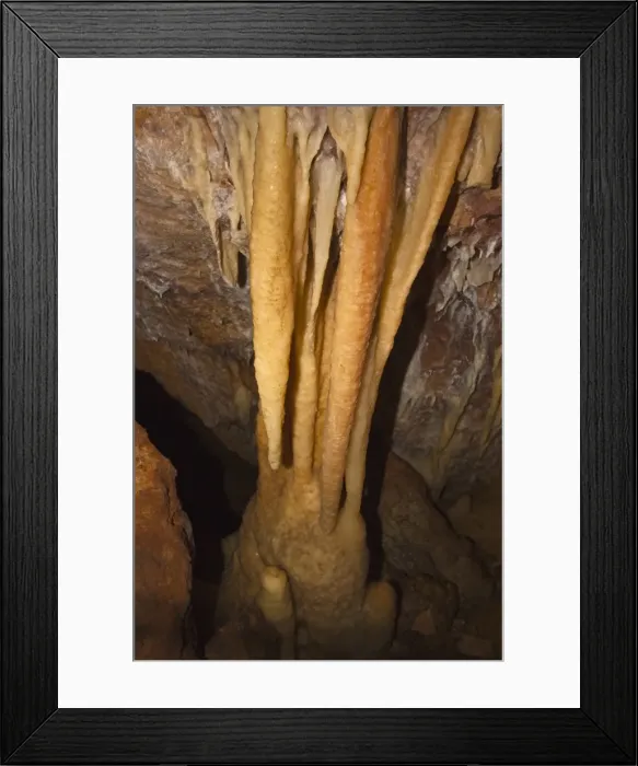 Framed Print : Stalactites creating a column with stalagmite below at Ngilgi Cave, a limestone Karst cave system near Yallingup in the South West, Augusta-Margaret River Shire, Western Australia