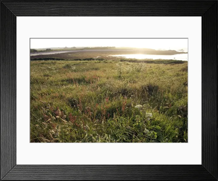Framed Print : Evening on foreshore, St. Agnes, Isles of Scilly, United Kingdom, Europe Framed Print : Evening on foreshore, St. Agnes, Isles of Scilly, United Kingdom, Europe