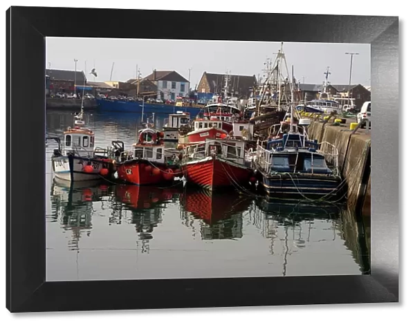 Fishing boats, Howth harbour, County Dublin, Republic Ireland, Europe