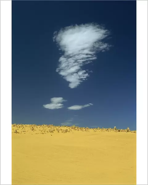 The Pinnacle Desert, Nambung National Park, Western Australia, Australia, Pacific
