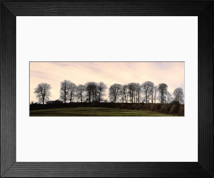 Framed Print : Bare trees on a ridge across a field at sunset, Bourton on the Hill, Gloucestershire Framed Print : Bare trees on a ridge across a field at sunset, Bourton on the Hill, Gloucestershire