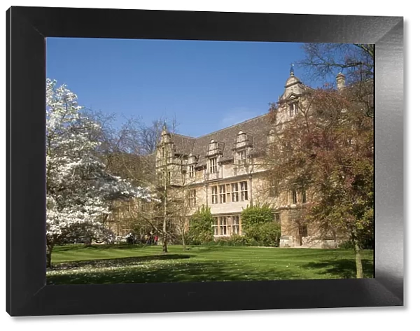 Trinity College, Oxford, Oxfordshire, England, United Kingdom, Europe