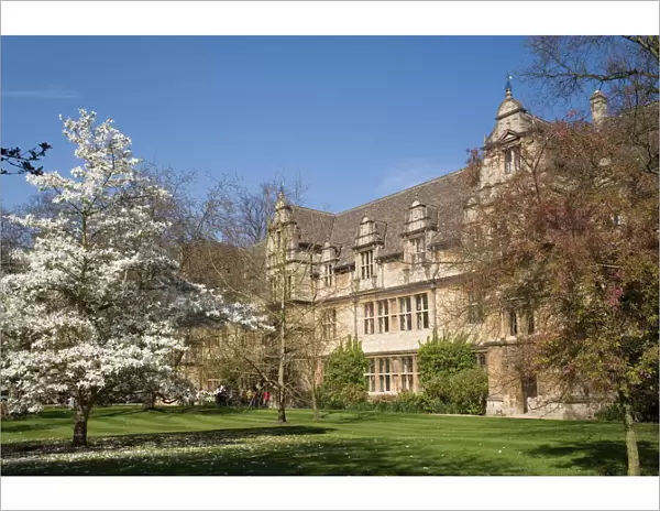 Trinity College, Oxford, Oxfordshire, England, United Kingdom, Europe