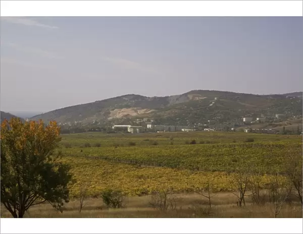 South Valley, Balaclava, site of 1854 battle, now vineyards, Crimea, Ukraine, Europe