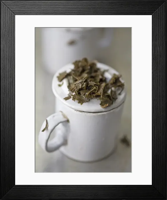 Framed Print : Tea tasting, Factory, Goomtee Tea Estate, Kurseong, West Bengal, India, Asia Framed Print : Tea tasting, Factory, Goomtee Tea Estate, Kurseong, West Bengal, India, Asia