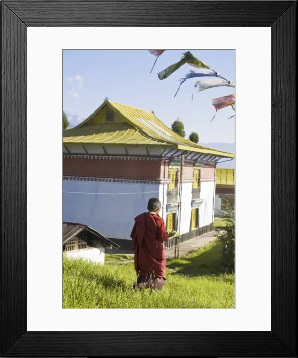 Framed Print : Novice monk carries offering to Sangachoeling Gompa, the second oldest Gompa in Sikkim Framed Print : Novice monk carries offering to Sangachoeling Gompa, the second oldest Gompa in Sikkim