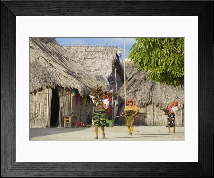 Framed Print : Kuna women carrying wood through village, Wichub-Wala Island, San Blas Islands Framed Print : Kuna women carrying wood through village, Wichub-Wala Island, San Blas Islands